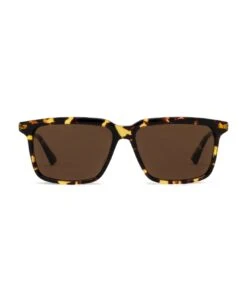 Bv1261s Havana Sunglasses