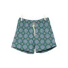 Maestrale Celeste/verde Swim Shorts