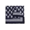 Alexander McQueen Skull Printed Fringed Scarf