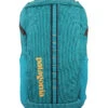Patagonia Black Hole Backpack 25l