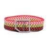 Lanvin Multicolor Curb Braided Belt