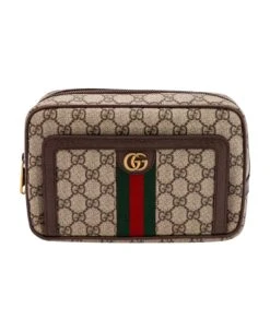 Gucci Ophidia Gg Pouch