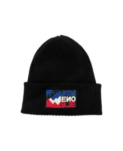 Black Beanie With Tricolor Logo Patch