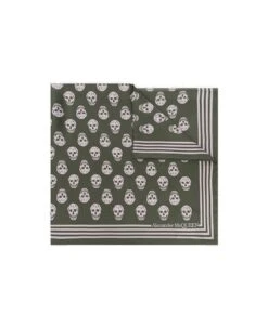 Alexander McQueen Skull-printed Striped Edge Scarf